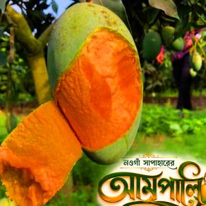 আম্রপালি আম