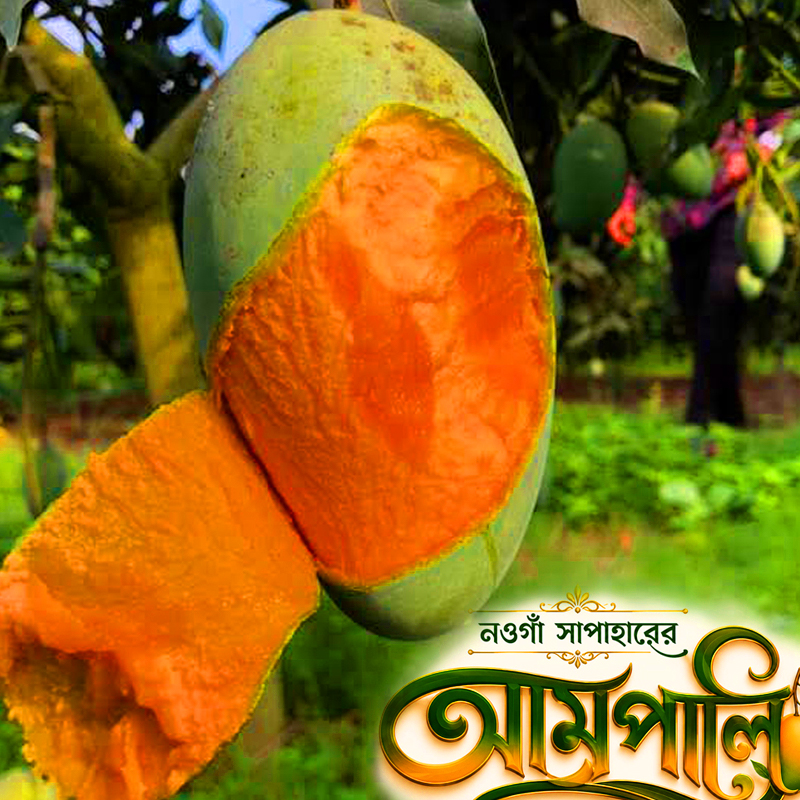 আম্রপালি আম