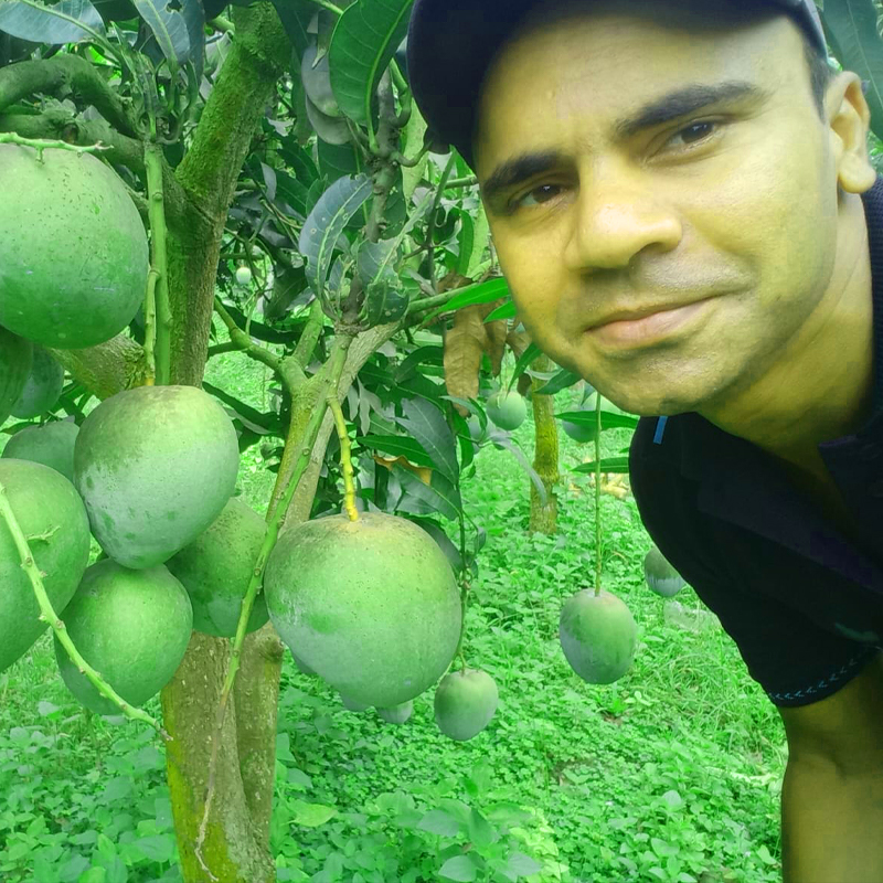 আশ্বিনা আম