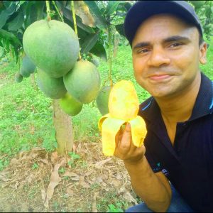চ্যাংমাই আম