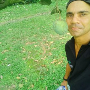 ফজলি আম