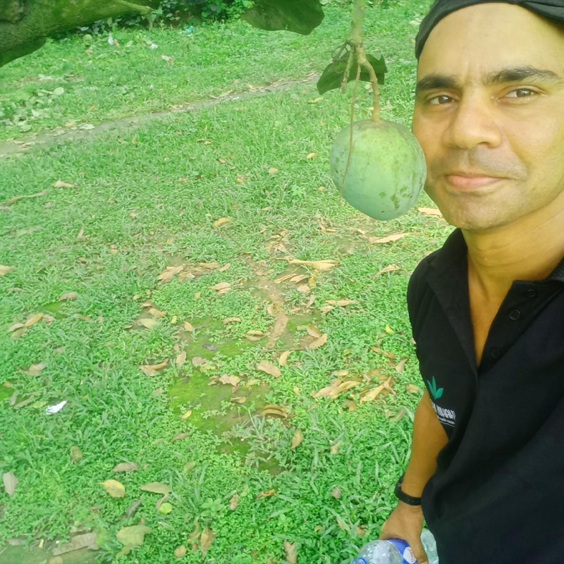 ফজলি আম