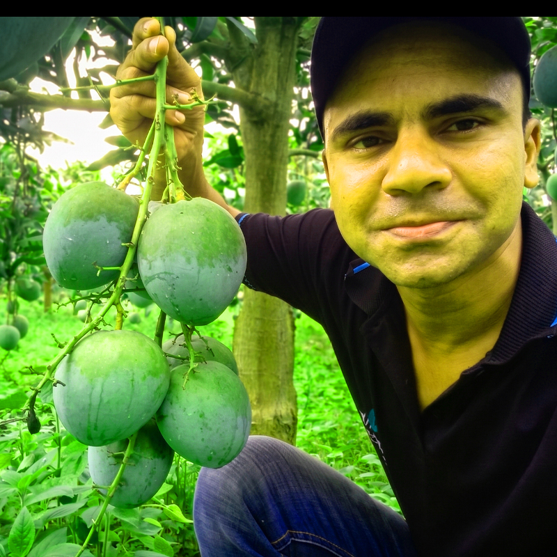 গৌড়মতি আম