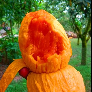 হাঁড়িভাঙ্গা আম