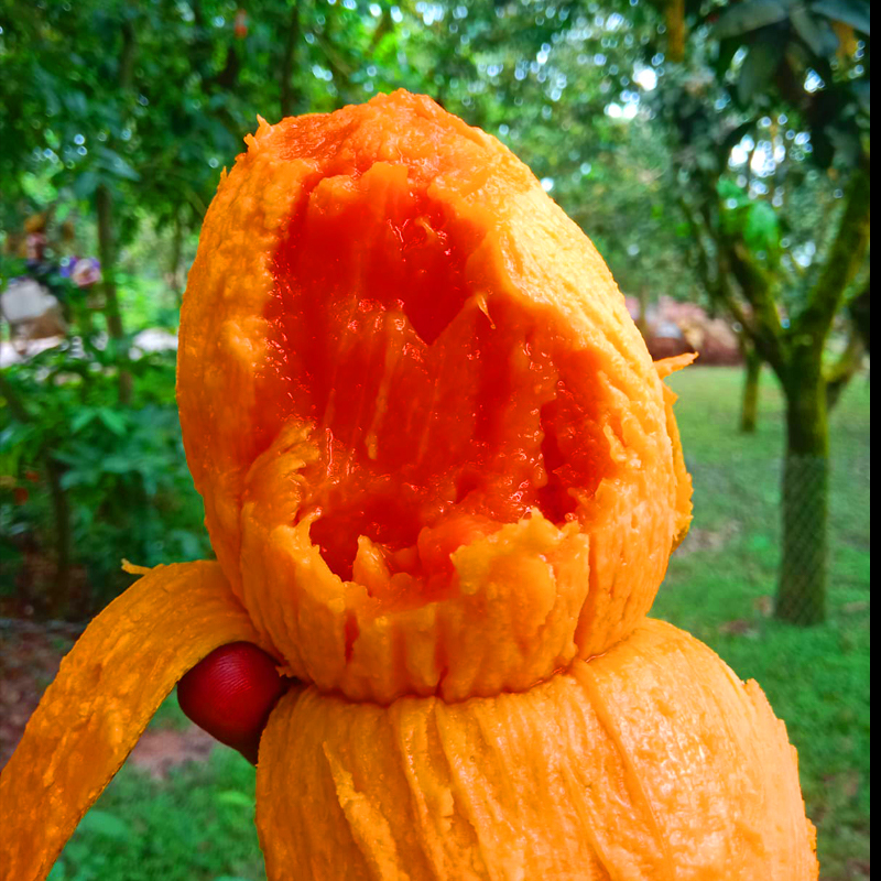 হাঁড়িভাঙ্গা আম