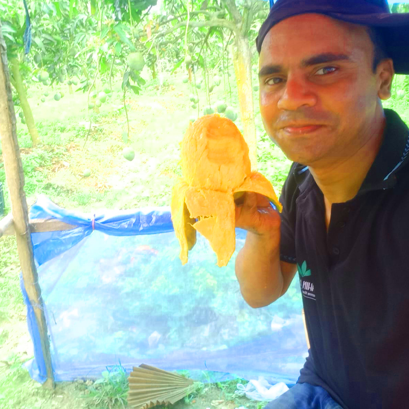 সূর্যডিম আম